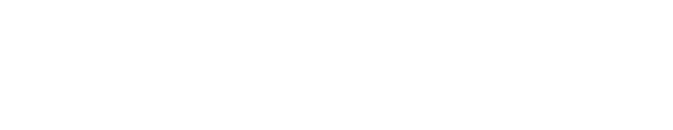 LOGO t